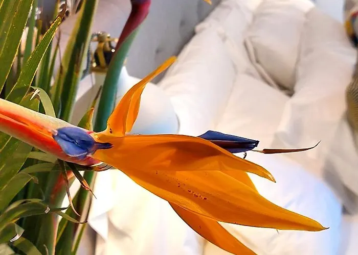 Nabrisa Marbella, 5 Bedroom, Private Pool, Garden, Bbq فيلة ماربيا