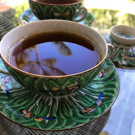 Nabrisa Marbella, 5 Bedroom, Private Pool, Garden, Bbq Villa Marbellac