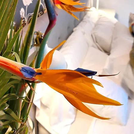 Nabrisa Marbella, 5 Bedroom, Private Pool, Garden, Bbq Вілла Марбелья