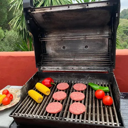 Nabrisa Marbella, 5 Bedroom, Private Pool, Garden, Bbq マルベーリャ